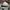 Brixton Casual Hat Pria black gray photo 2
