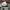 Brixton Casual Hat Pria black gray photo 4