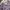 ZARA Vintage Luxury Summer Dress Wanita Multicolor