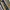 Avant Garde Kimono Wanita green photo 3