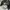 EXR Vintage Y2K Windbreaker Pria black photo 6