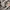 Nike Sportswear Casual Sneakers Pria tan gray photo 2