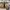 Nike Sportswear Casual Sneakers Pria tan gray photo 5