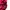 New Balance Vintage Y2K Jersey Pria red photo 6