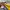 Adidas Casual Track jacket Pria white yellow photo 5