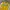 Adidas Casual Track jacket Pria white yellow photo 2