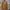 Carhartt Vintage Casual shirt Pria brown photo 1