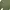 Casual Bodysuit Wanita green photo 4