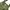 Casual Bodysuit Wanita green photo 2