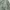 Comme Ca Collection Casual Blazer Pria green photo 1