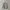 Adidas Streetwear Sportswear Sweater Pria gray photo 1
