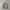 Adidas Streetwear Sportswear Sweater Pria Gray