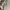 Adidas Streetwear Sportswear Sweater Pria gray photo 4