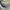 Adidas Streetwear Sportswear Sweater Pria gray photo 3