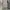 Luxury Evening dress Wanita cream photo 3
