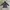 Badboy Y2K Harrington jacket Pria black gray photo 2