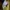 WHO.A.U Casual T-shirt Pria yellow photo 4