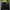 Kappa Streetwear Sweater Pria multicolor photo 2