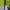 Kappa Streetwear Sweater Pria multicolor photo 4