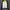 Kappa Streetwear Sweater Pria multicolor photo 1