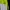 Kappa Streetwear Sweater Pria multicolor photo 5