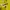 Columbia Gorpcore Sportswear Windbreaker Pria yellow photo 4