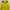 Columbia Gorpcore Sportswear Windbreaker Pria yellow photo 1