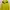Columbia Gorpcore Sportswear Windbreaker Pria Yellow
