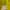 Columbia Gorpcore Sportswear Windbreaker Pria yellow photo 6