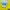 Columbia Gorpcore Sportswear Windbreaker Pria yellow photo 2