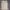 NII Streetwear Hoody Pria Tan
