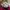 New Balance Casual Sportswear Sneakers Pria white photo 1