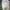 MLB Sportswear Hat Pria White