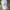 MLB Sportswear Hat Pria white photo 1