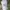 MLB Sportswear Hat Pria White