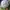 MLB Sportswear Hat Pria white photo 3
