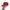 Billionaire Boys Club Streetwear Avant Garde Hat Pria red photo 2