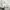 Japanese brand Vintage Streetwear Jumper Pria tan photo 3