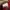 Hysteric Glamour Vintage Streetwear Sweatshirt Wanita red photo 7