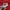 Chase Nascar Streetwear Y2K T-shirt Pria red photo 4