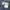 Raton Laveur Vintage Minimalist Casual pants Pria navy photo 4