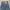 Raton Laveur Vintage Minimalist Casual pants Pria navy photo 2