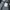 Raton Laveur Vintage Minimalist Casual pants Pria navy photo 7