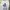 Marvel Streetwear Sportswear T-shirt Pria white photo 1
