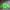 Gorpcore Sweater Pria Green