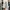 Adidas Streetwear Sportswear Sneakers Pria multicolor photo 3
