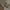 Adidas Streetwear Sportswear Sneakers Pria multicolor photo 5