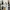 Adidas Streetwear Sportswear Sneakers Pria multicolor photo 1