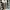 Adidas Streetwear Sportswear Sneakers Pria multicolor photo 3
