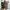 Adidas Streetwear Sportswear Sneakers Pria multicolor photo 5